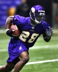 adrian peterson vikings camp