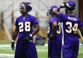 adrian peterson vikings camp