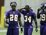 adrian peterson vikings camp
